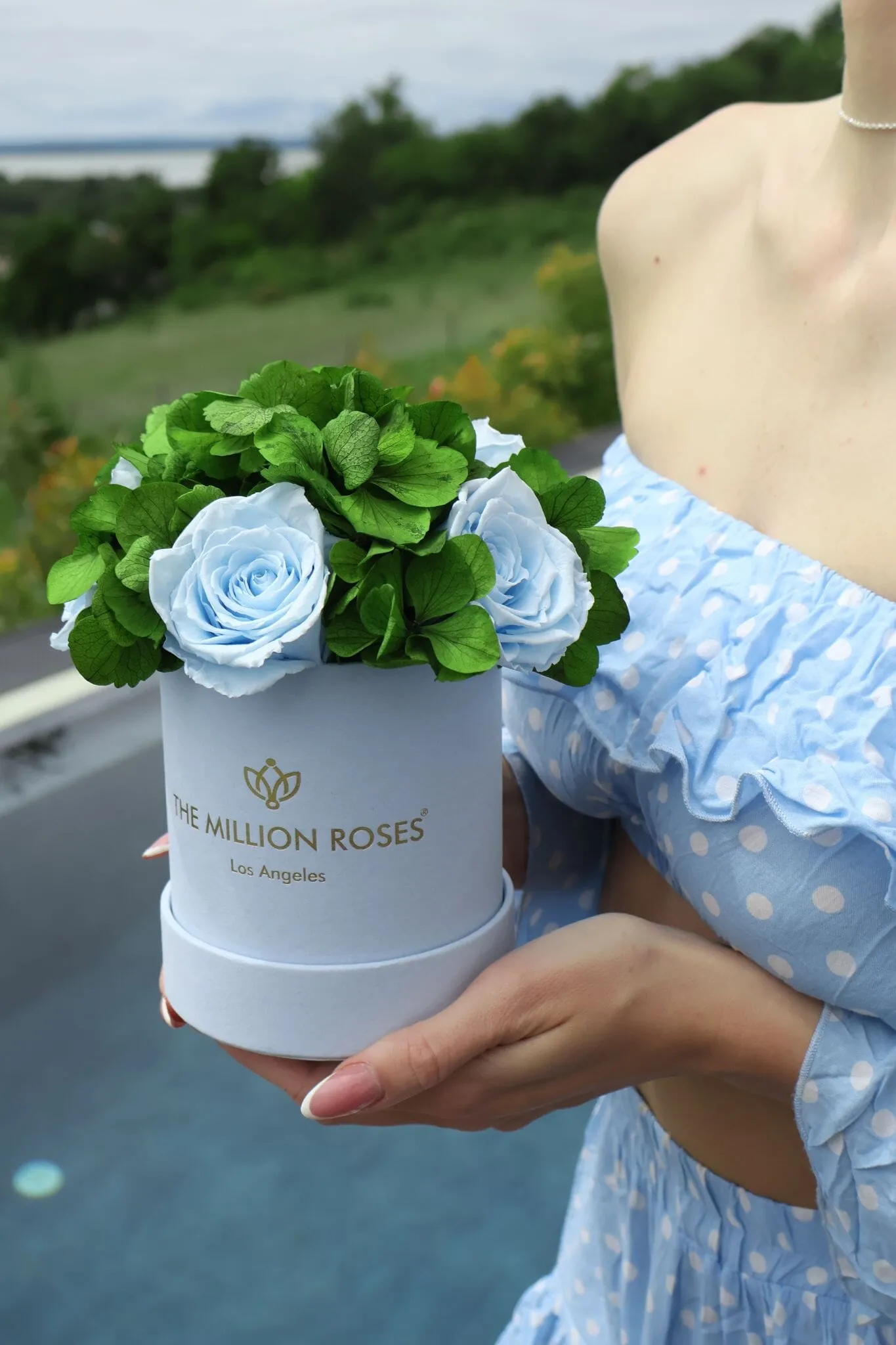 Basic Light Blue Suede Garden Box | Light Blue Roses