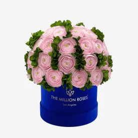 Classic Royal Blue Suede Box | Light Pink Persian Buttercups & Green Hydrangeas