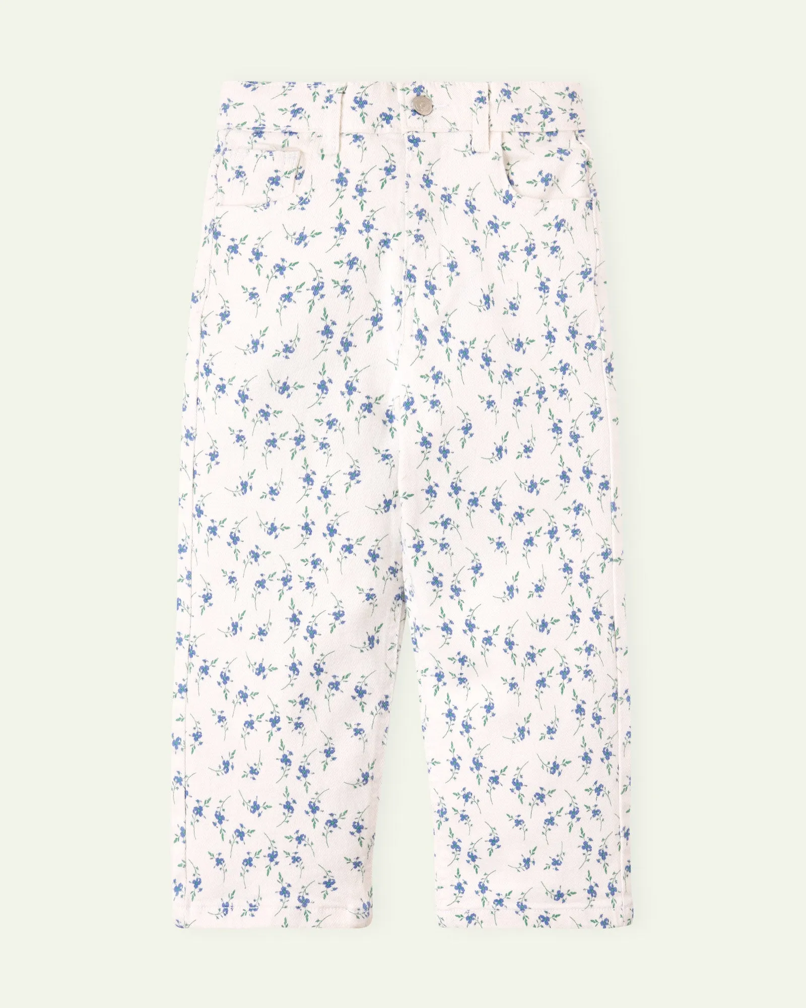 Printed Floral Straight Fit Pants